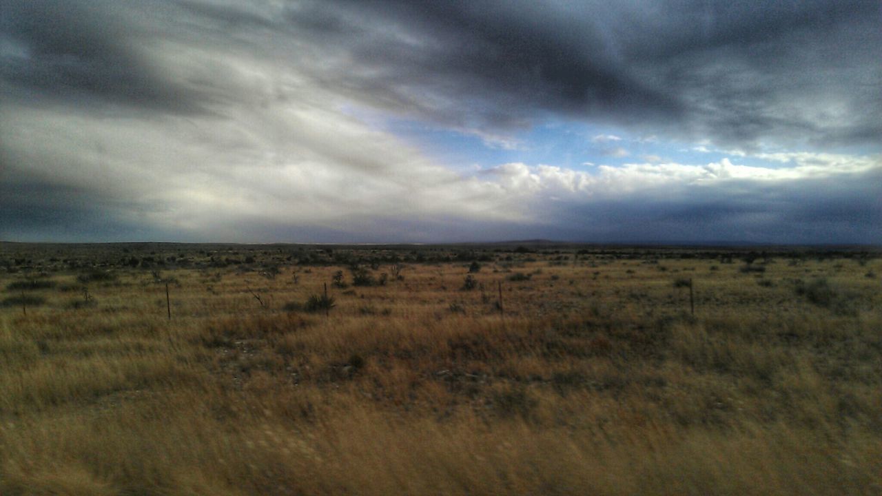 SCENIC VIEW OF RURAL LANDSCAPE