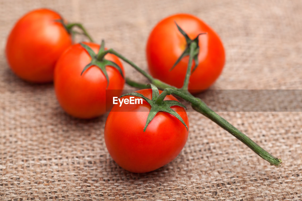 Branch of fresh tomatoes on sacking