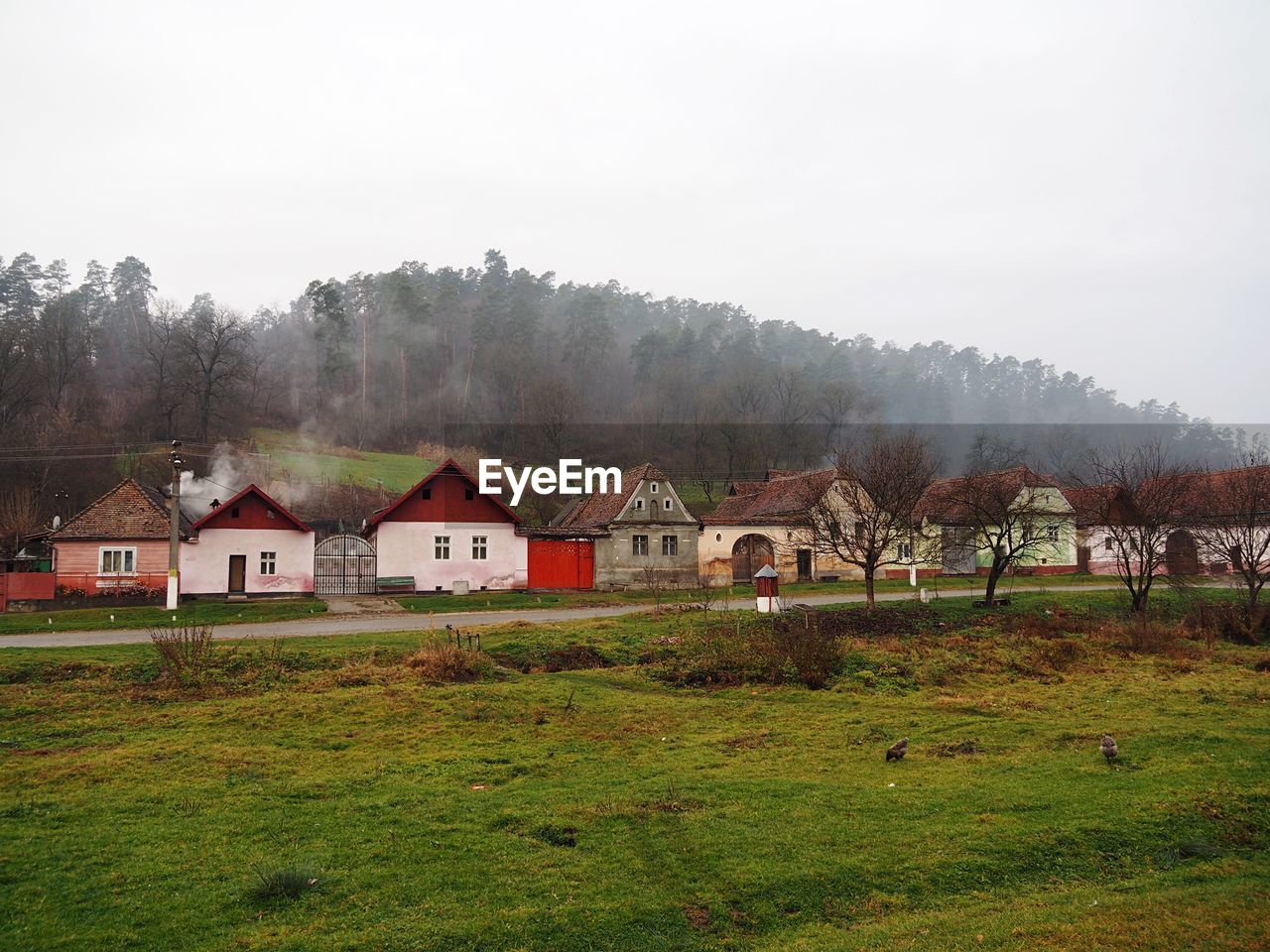 HOUSES ON FIELD AGAINST SKY