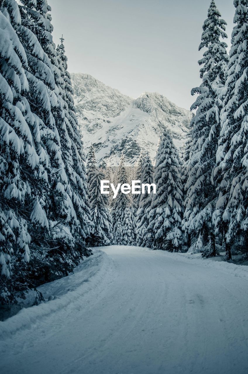 Scenic view of snow covered mountains against sky