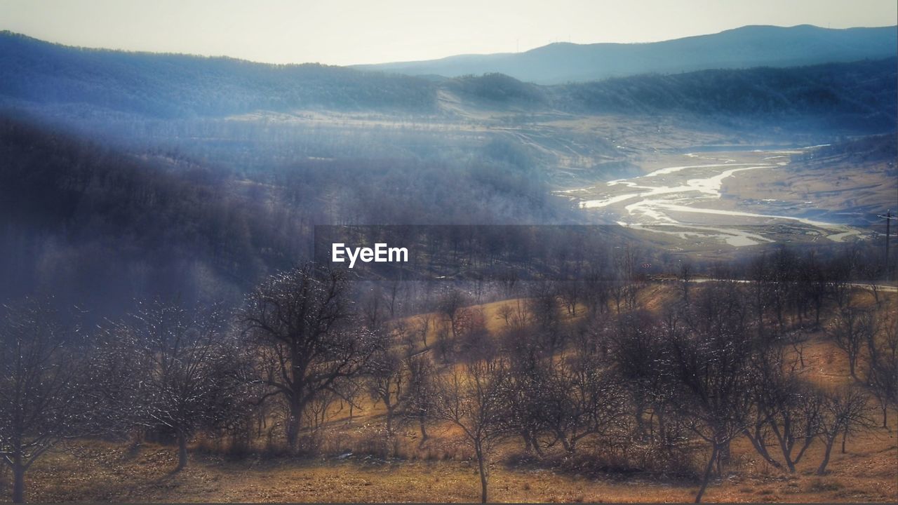 AERIAL VIEW OF TREES ON LANDSCAPE AGAINST SKY