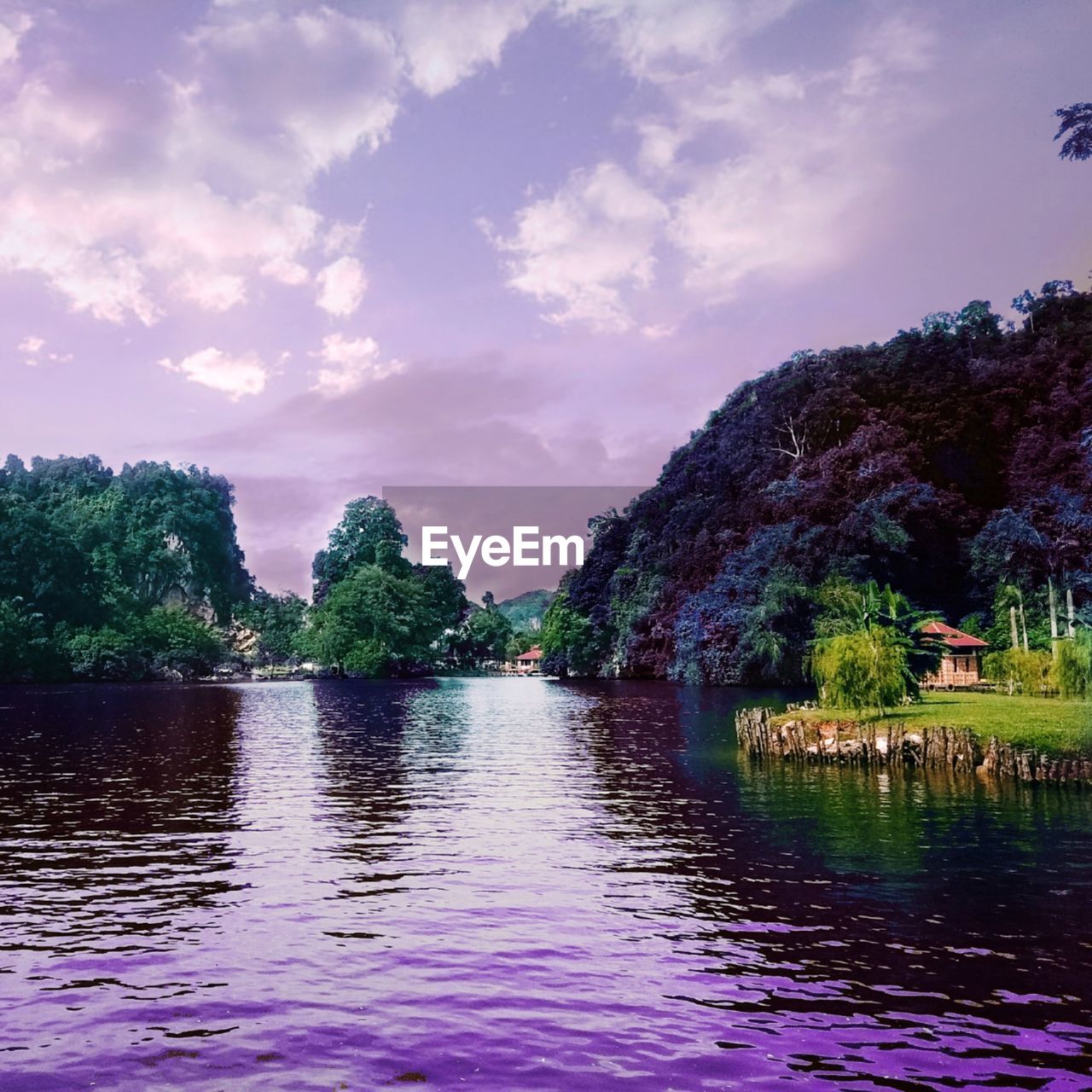 LAKE BY TREES AGAINST SKY