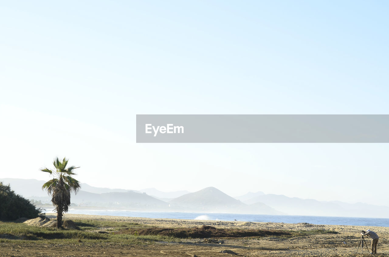 Scenic view of field against clear sky