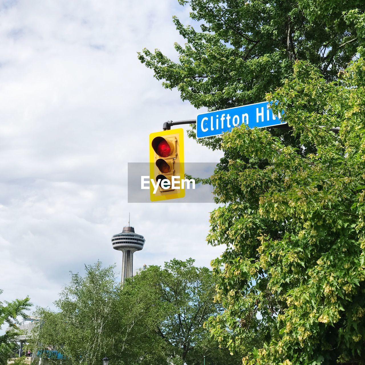 LOW ANGLE VIEW OF INFORMATION SIGN AGAINST TREES