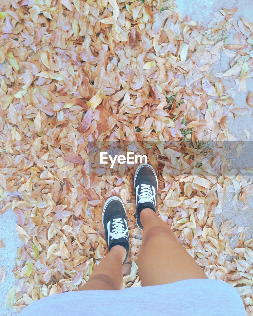 Low section of woman standing on dry leaves fallen on footpath during autumn