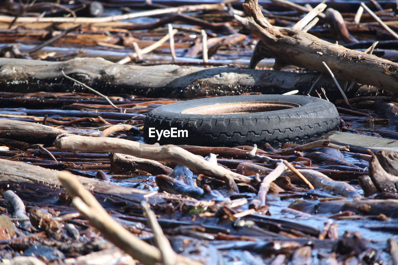 Tire on driftwood covered on field