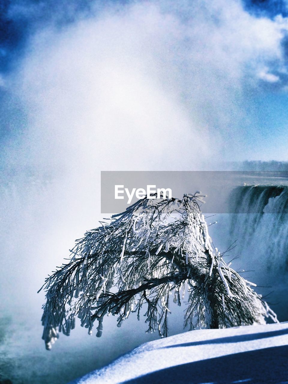 Idyllic shot of frozen tree branch against niagara falls mist