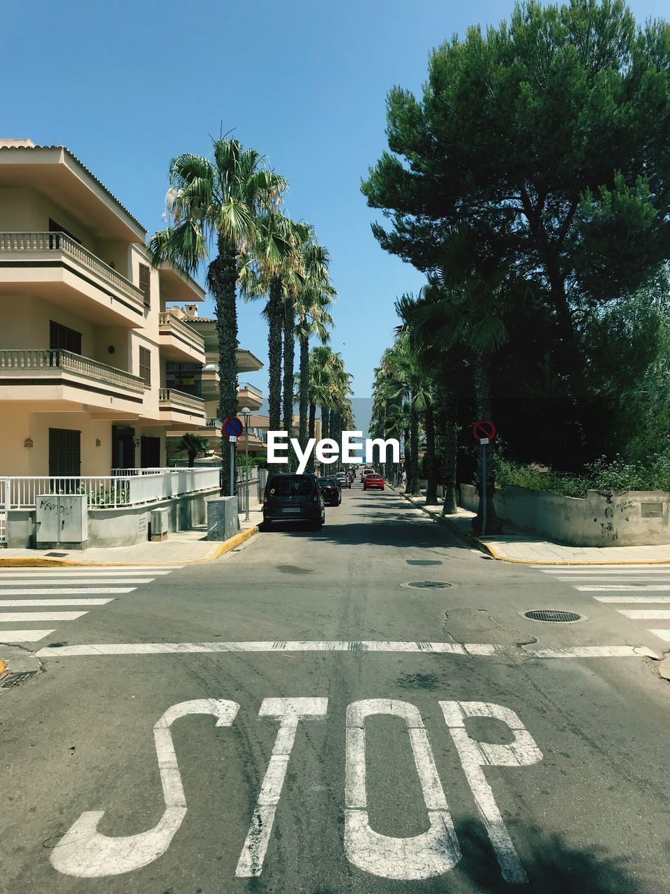 Stop sign on road by trees and buildings in city against sky