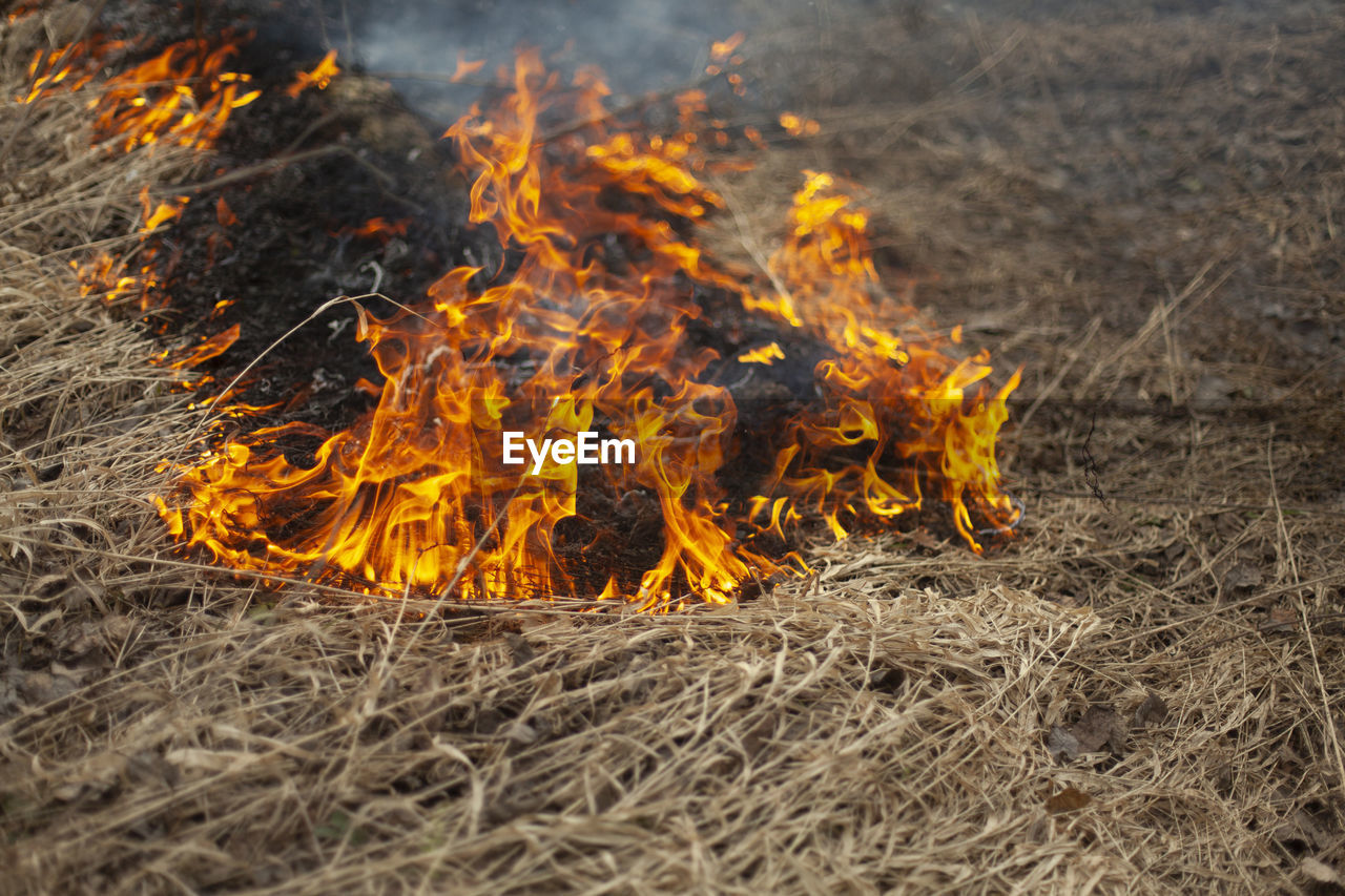CLOSE-UP OF FIRE IN THE FIELD