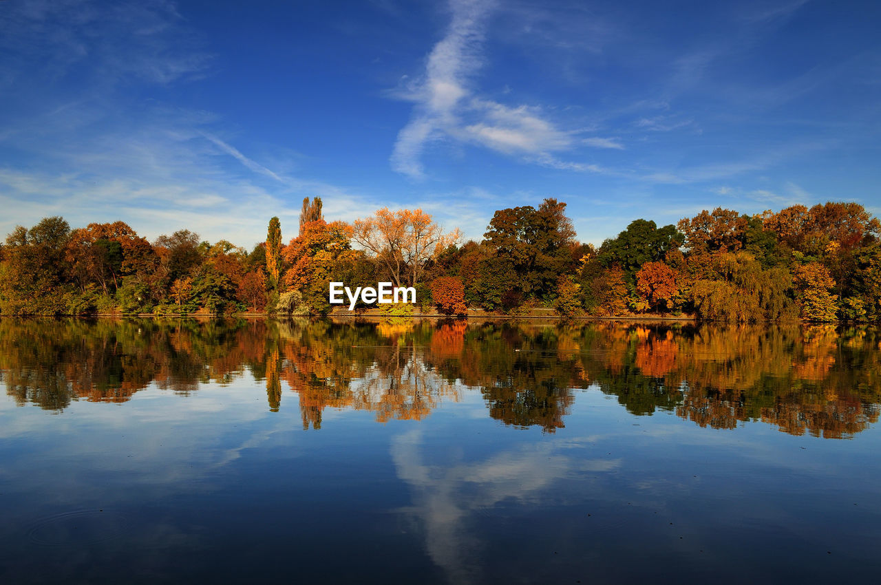 Scenic view of lake by trees against blue sky
