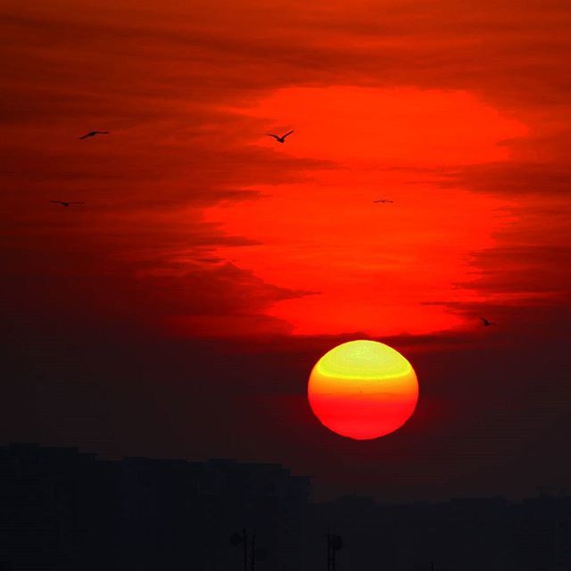 sky, sunset, beauty in nature, orange color, flying, afterglow, nature, sun, silhouette, scenics - nature, horizon, cloud, no people, tranquility, tranquil scene, dawn, red, dramatic sky, animal themes, animal, bird, outdoors, idyllic, environment, red sky at morning, animal wildlife, evening, sunlight, wildlife, travel, air vehicle, mid-air, travel destinations, romantic sky, astronomical object, landscape