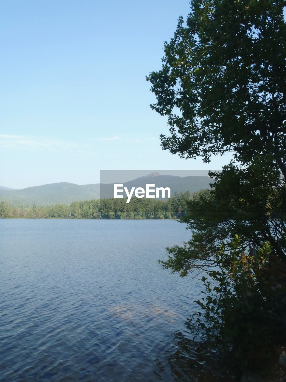 Scenic view of lake against clear sky