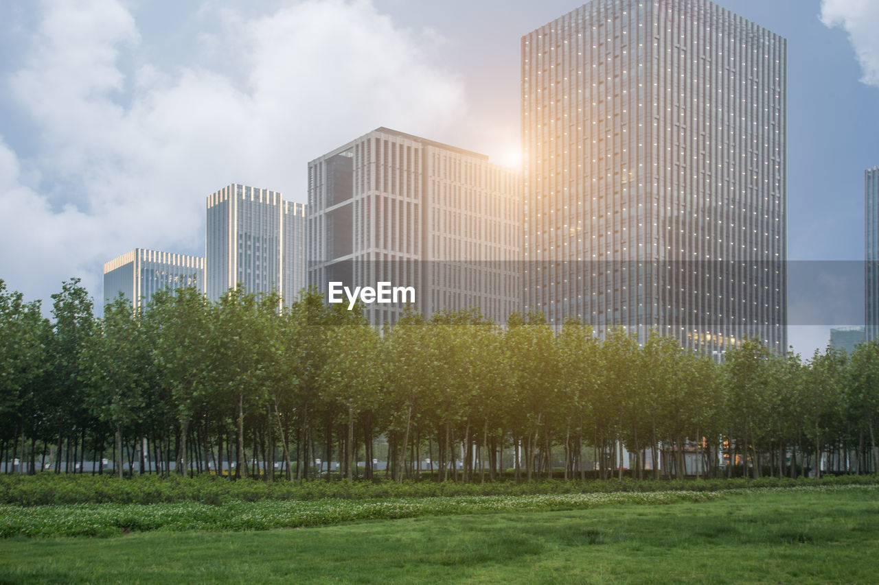 TREES BY MODERN BUILDINGS AGAINST SKY