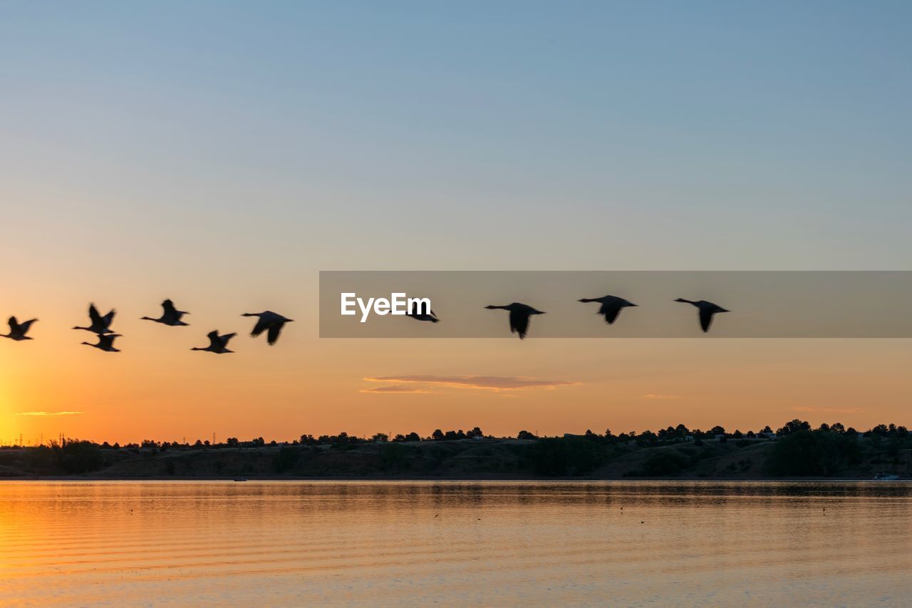 SILHOUETTE BIRDS FLYING OVER LAKE AGAINST SKY