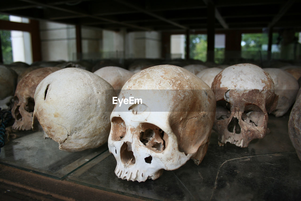 Skulls of the victimes of the khmer rouge inside a memorial at the killing fields near phnom penh