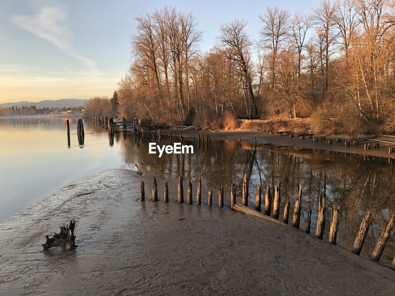 water, reflection, winter, morning, sky, tree, river, nature, scenics - nature, beauty in nature, tranquility, plant, tranquil scene, shore, body of water, autumn, environment, landscape, land, outdoors, no people, snow, animal, day, animal themes, non-urban scene, beach, cloud, travel, travel destinations