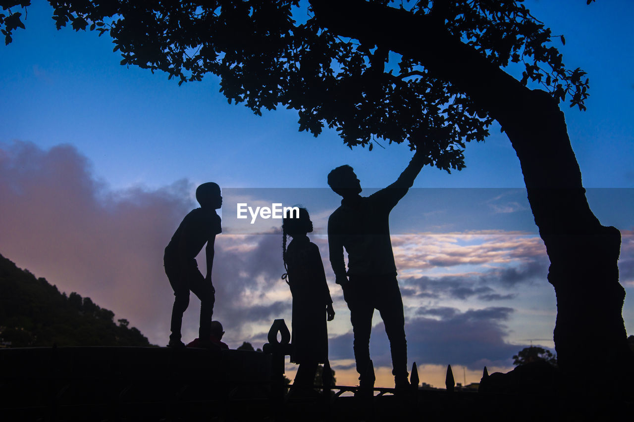 Silhouette friends standing by tree against sky during sunset