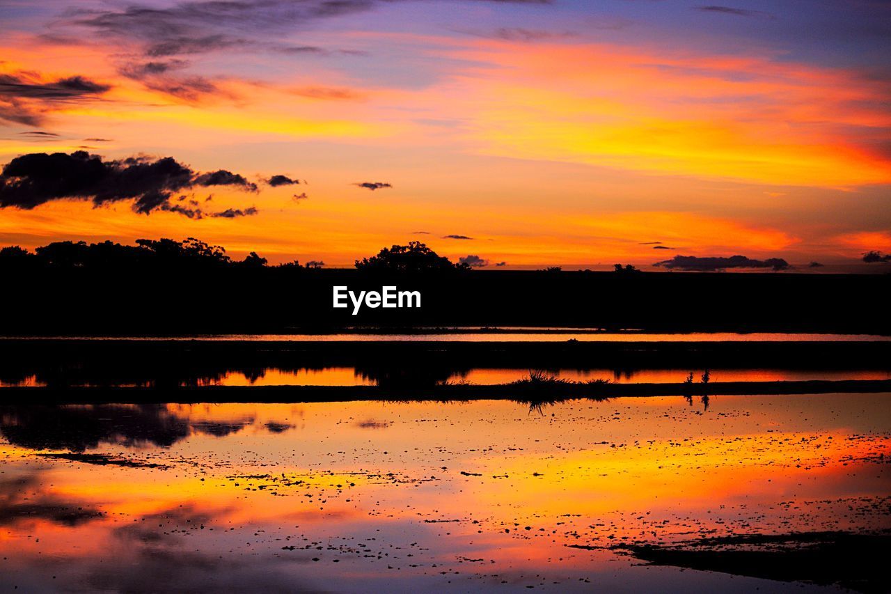 SILHOUETTE TREES BY LAKE AGAINST ORANGE SKY