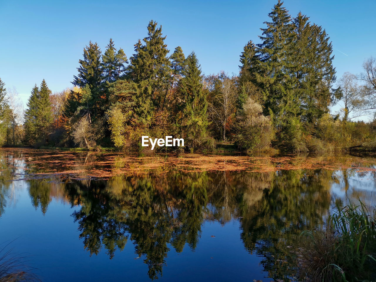 Reflection of trees in lake against sky