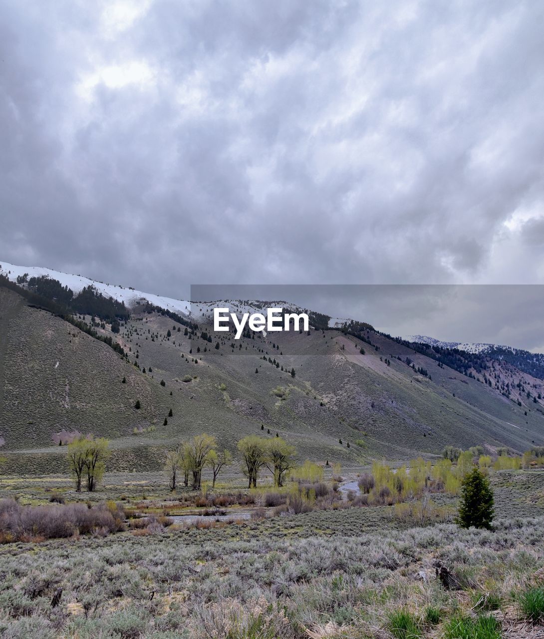 Sun valley badger canyon sawtooth mountains national forest landscape trail creek road idaho usa