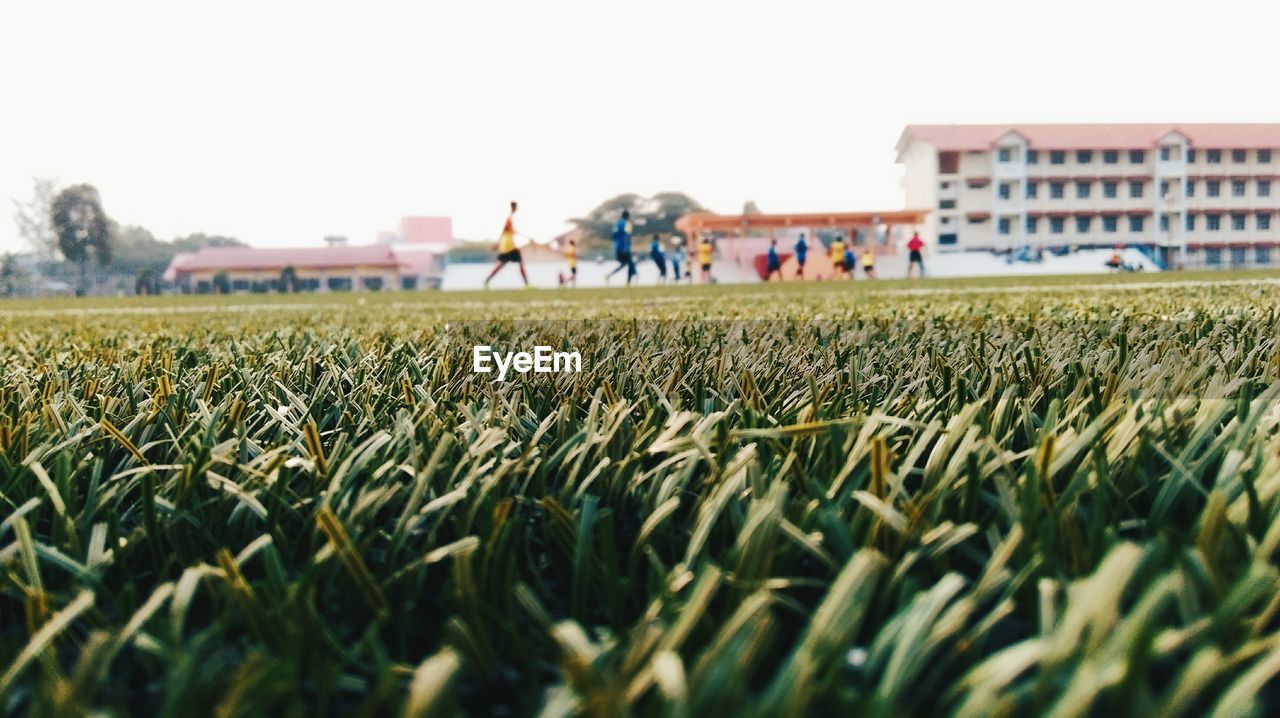 Close-up of grass with people in background against sky