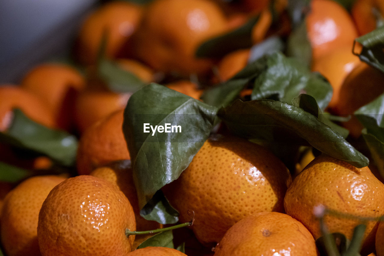 Close-up of orange fruit