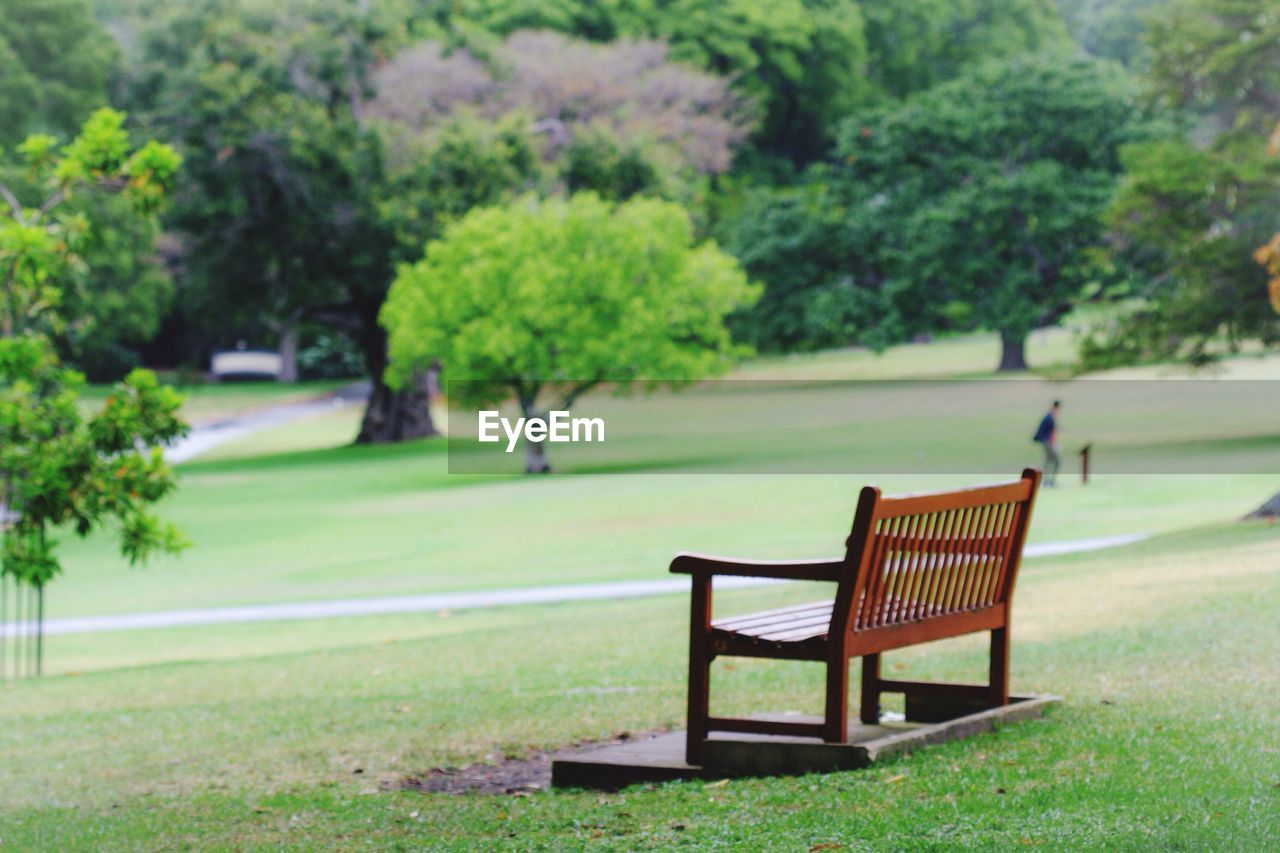 EMPTY CHAIR IN PARK AGAINST TREES