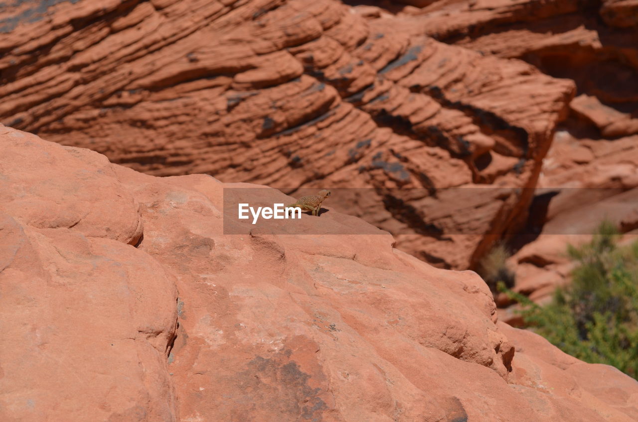 CLOSE-UP OF ROCK FORMATIONS IN DESERT