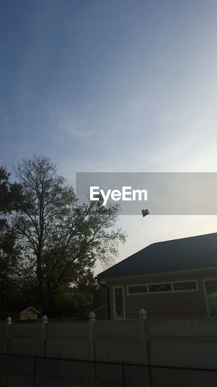 LOW ANGLE VIEW OF BIRDS FLYING OVER THE SKY