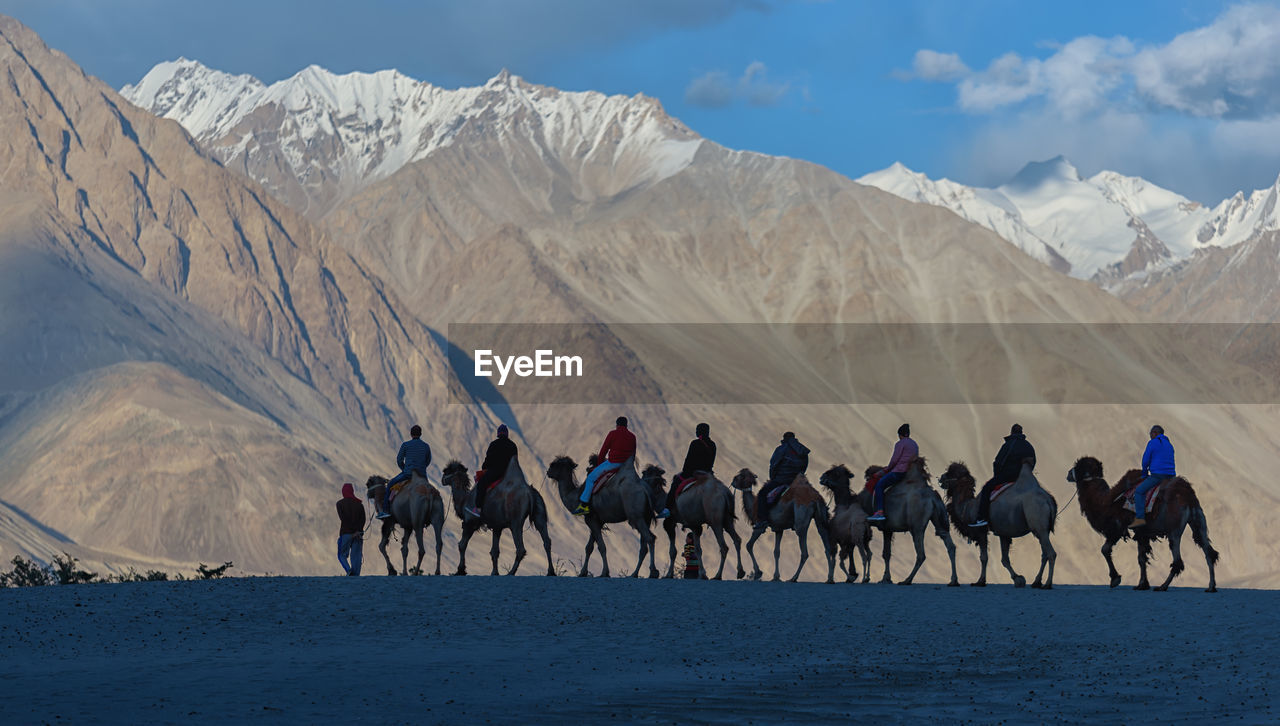 Group of people riding camels