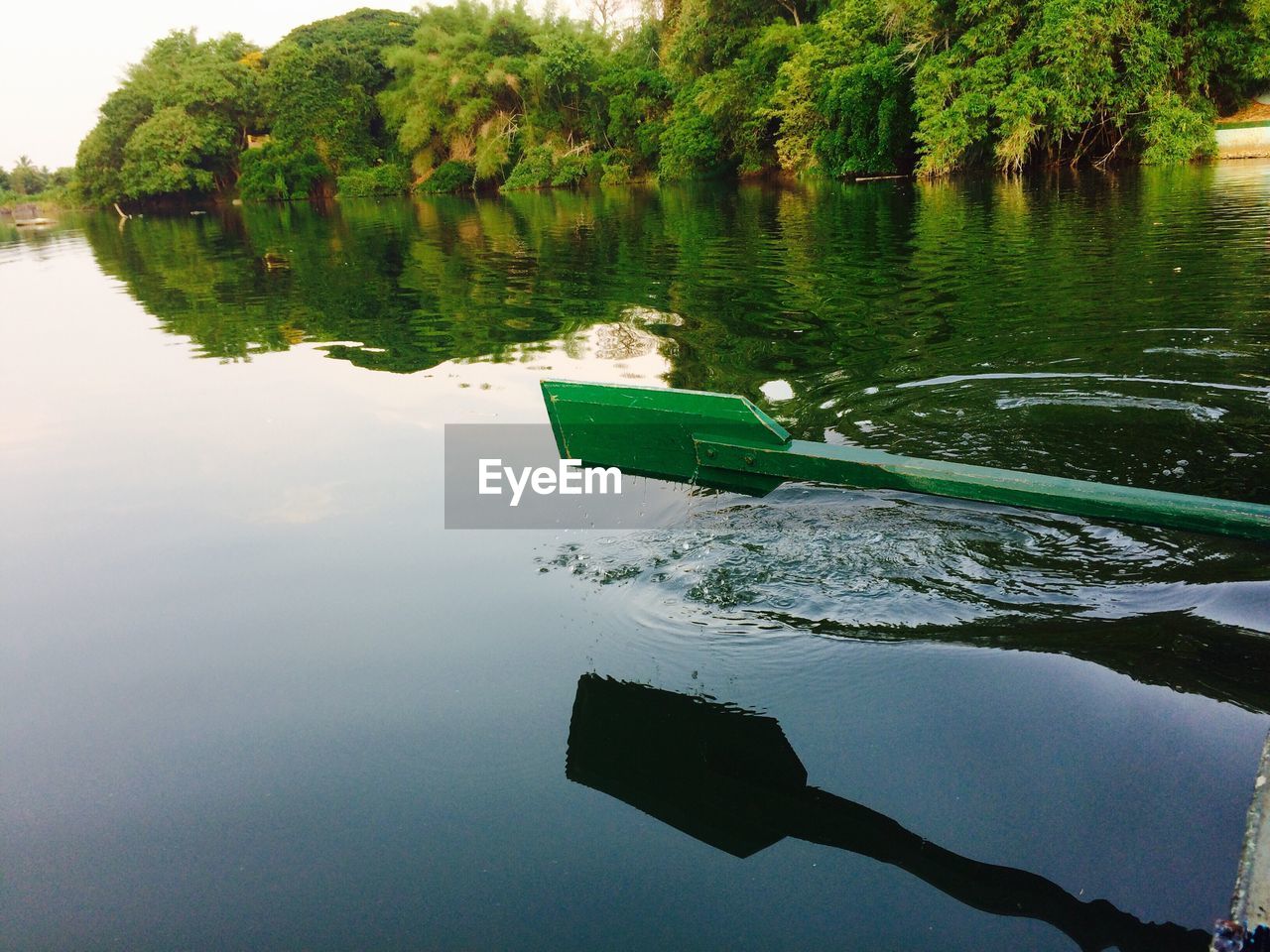 REFLECTION OF TREE ON LAKE