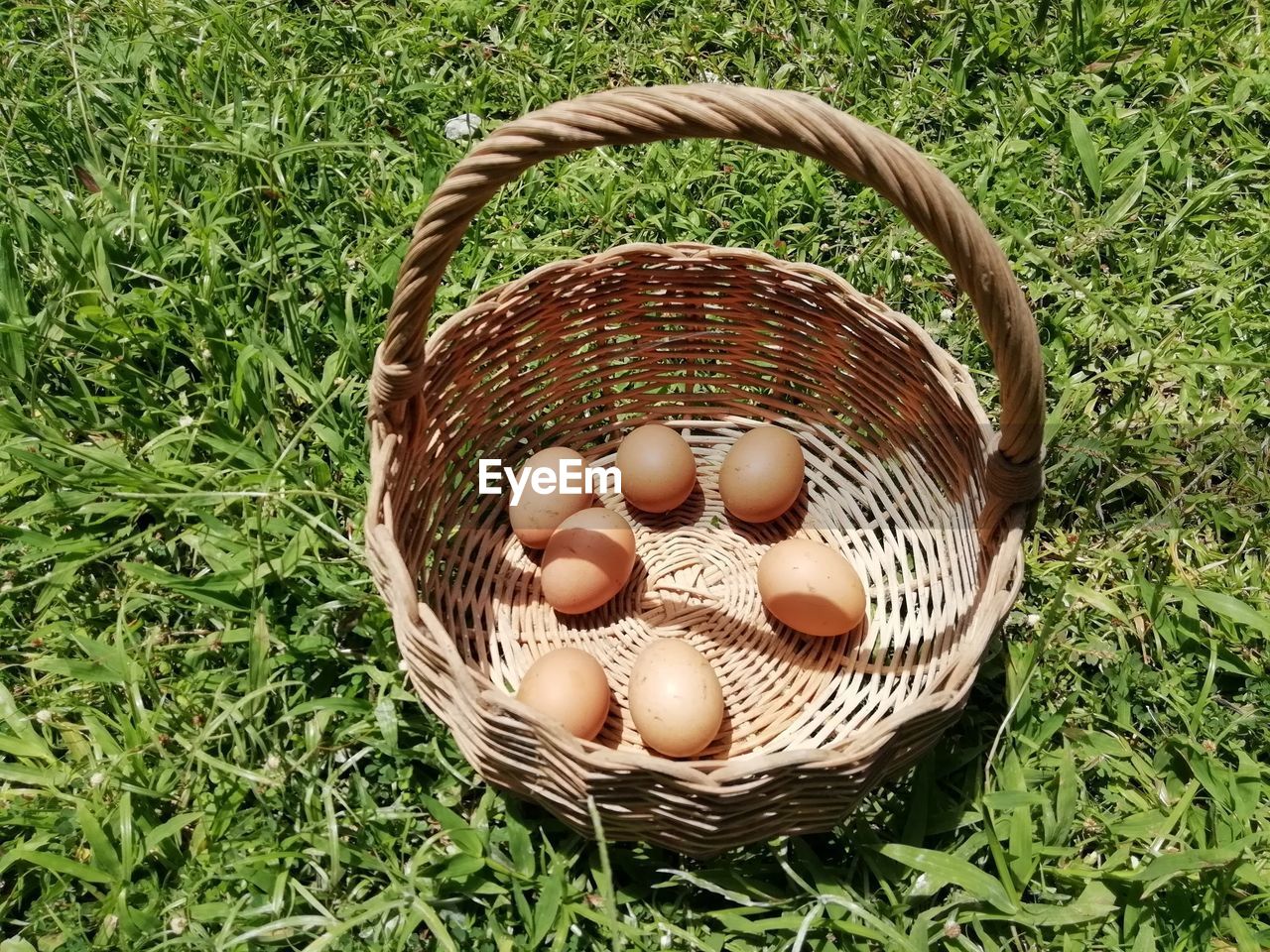CLOSE-UP OF EGGS IN BASKET ON FIELD