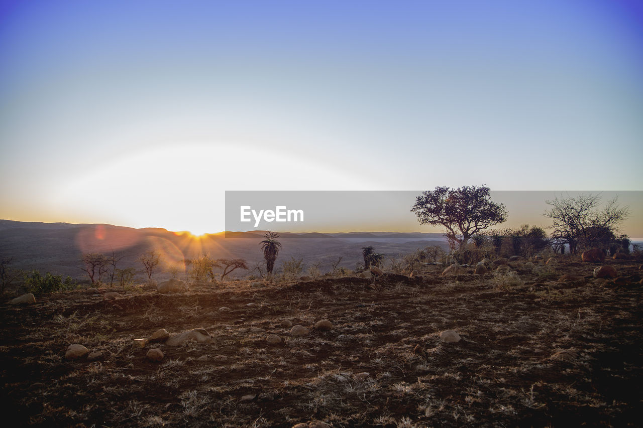 View of field against sky during sunset