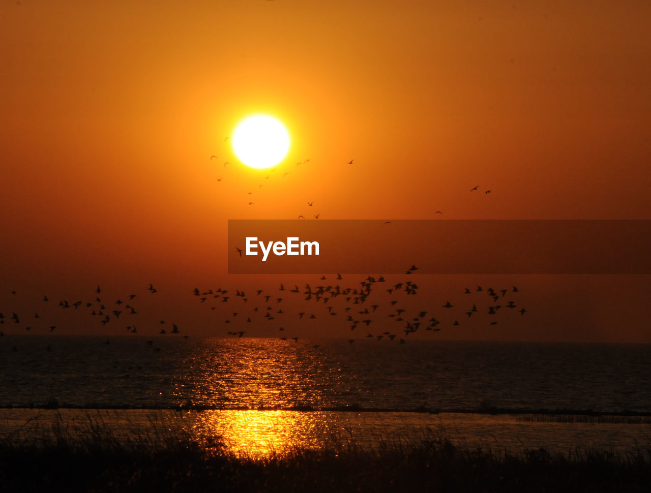 SCENIC VIEW OF SEA DURING SUNSET