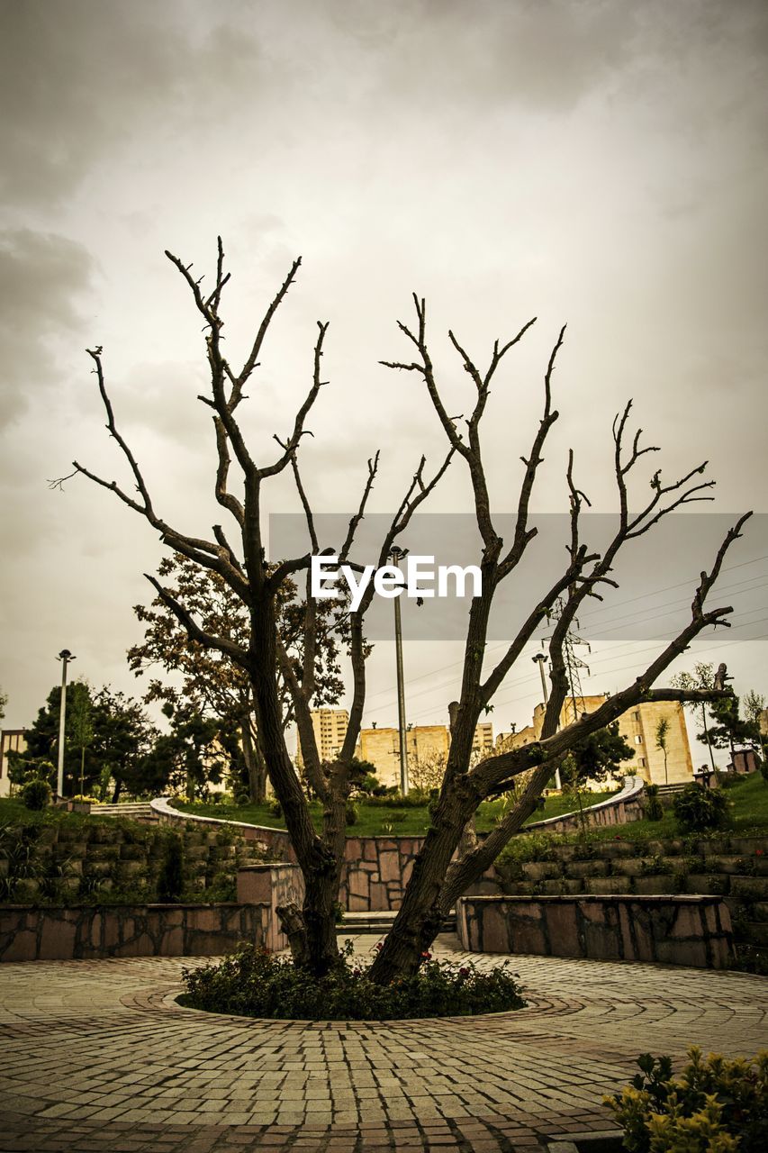 Bare tree in park against cloudy sky