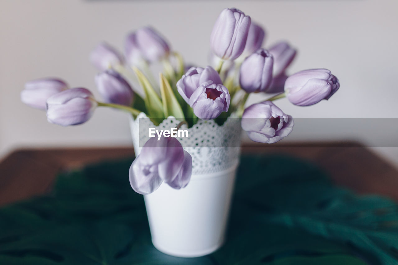 Close-up of purple tulips in vase