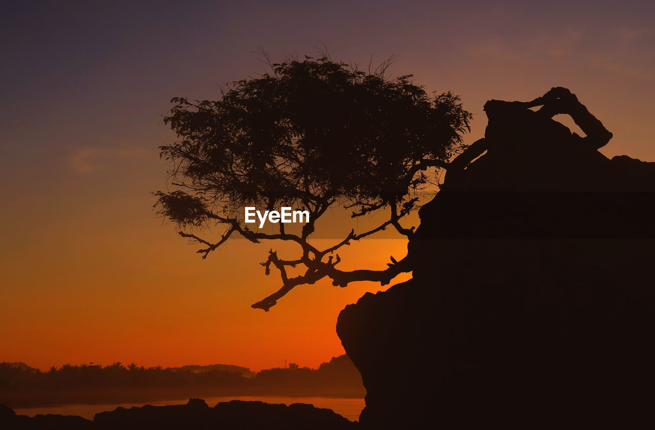 Silhouette tree on rock formation at kuta beach against sky during sunset