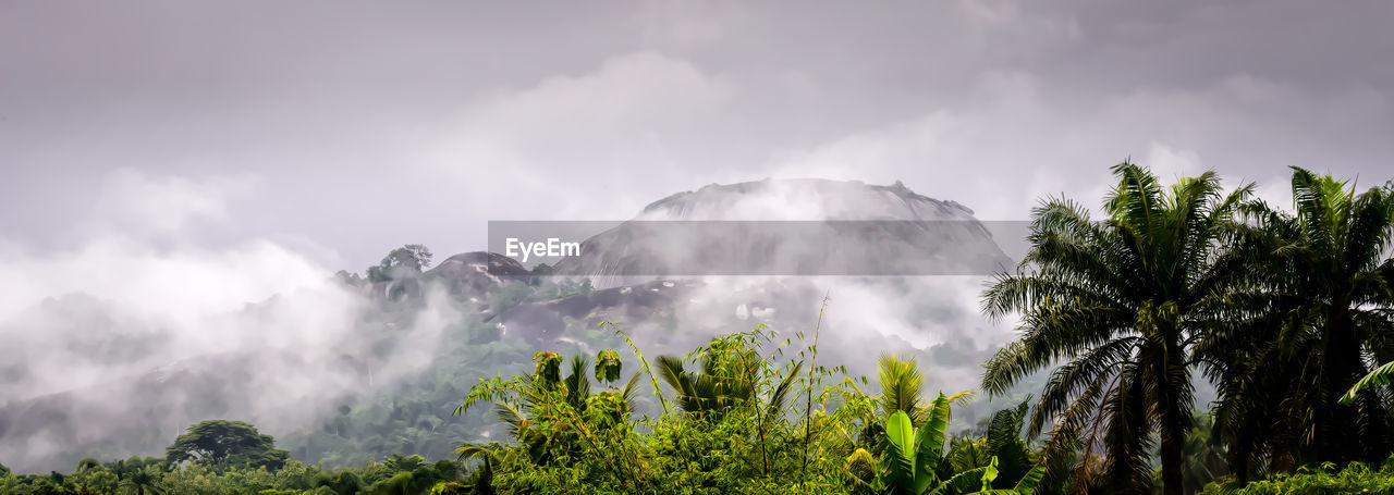 Panoramic view of trees against sky