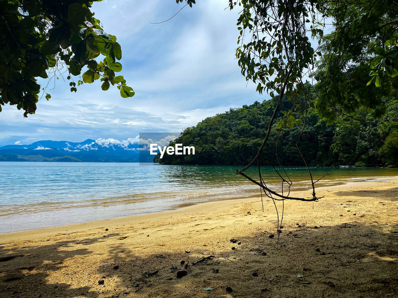 Scenic view of beach against sky