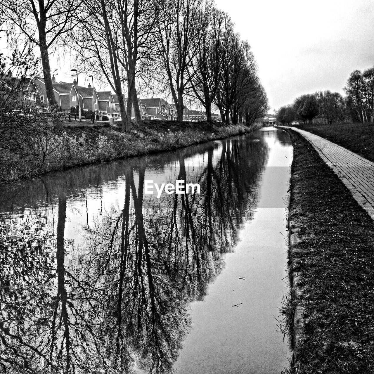 Semi-detached houses by river