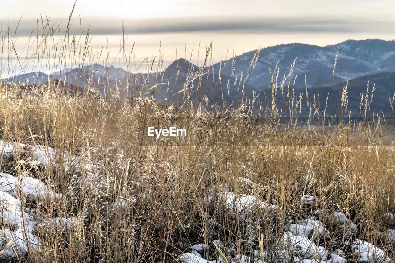 SCENIC VIEW OF SNOWY LANDSCAPE AGAINST SKY