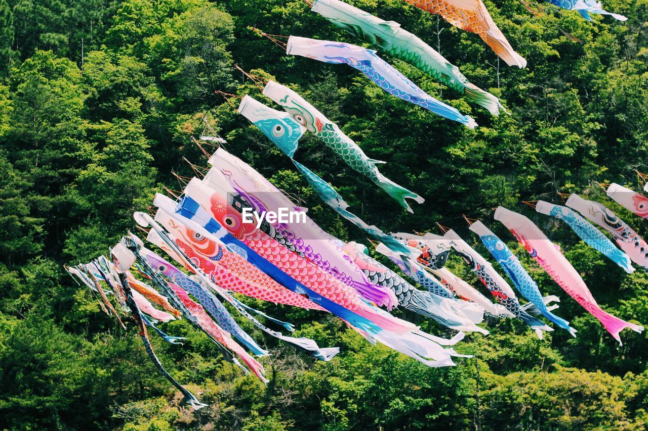 Low angle view of colorful koinobori against trees