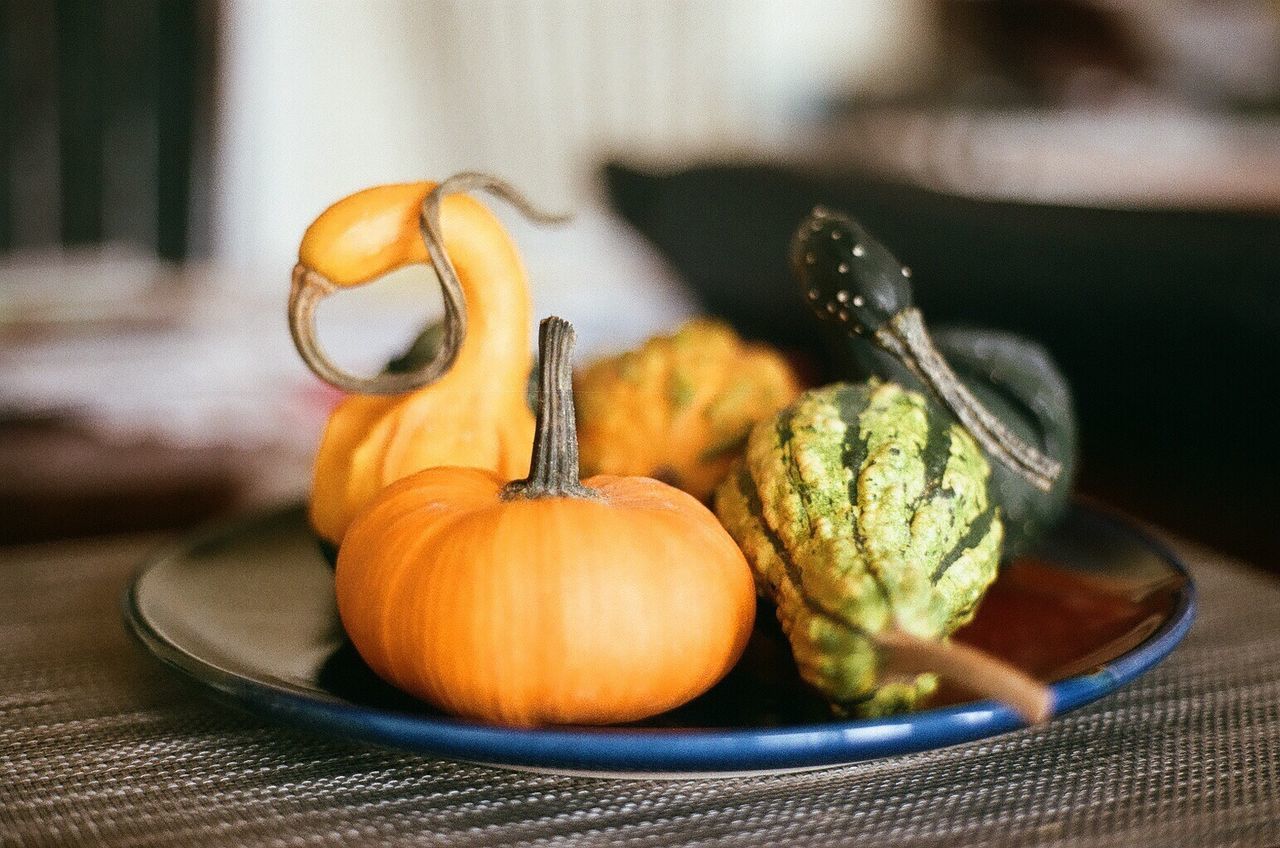food and drink, food, vegetable, healthy eating, pumpkin, freshness, wellbeing, no people, produce, autumn, indoors, table, still life, orange color, celebration, focus on foreground, fruit, halloween, selective focus, squash - vegetable, yellow, organic, still life photography, close-up