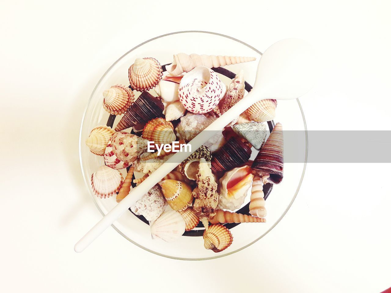 HIGH ANGLE VIEW OF FOOD IN BOWL