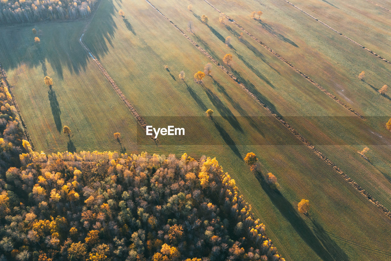 Aerial view fields and forests in autumn day.