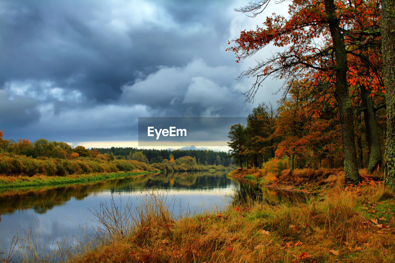 SCENIC VIEW OF LAKE AMIDST TREES AGAINST SKY