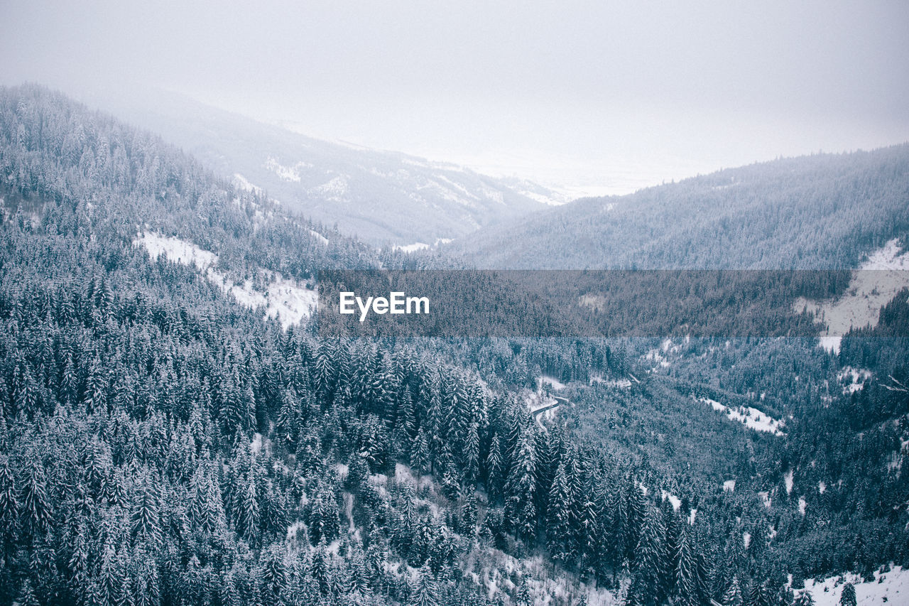 High angle view of trees during winter