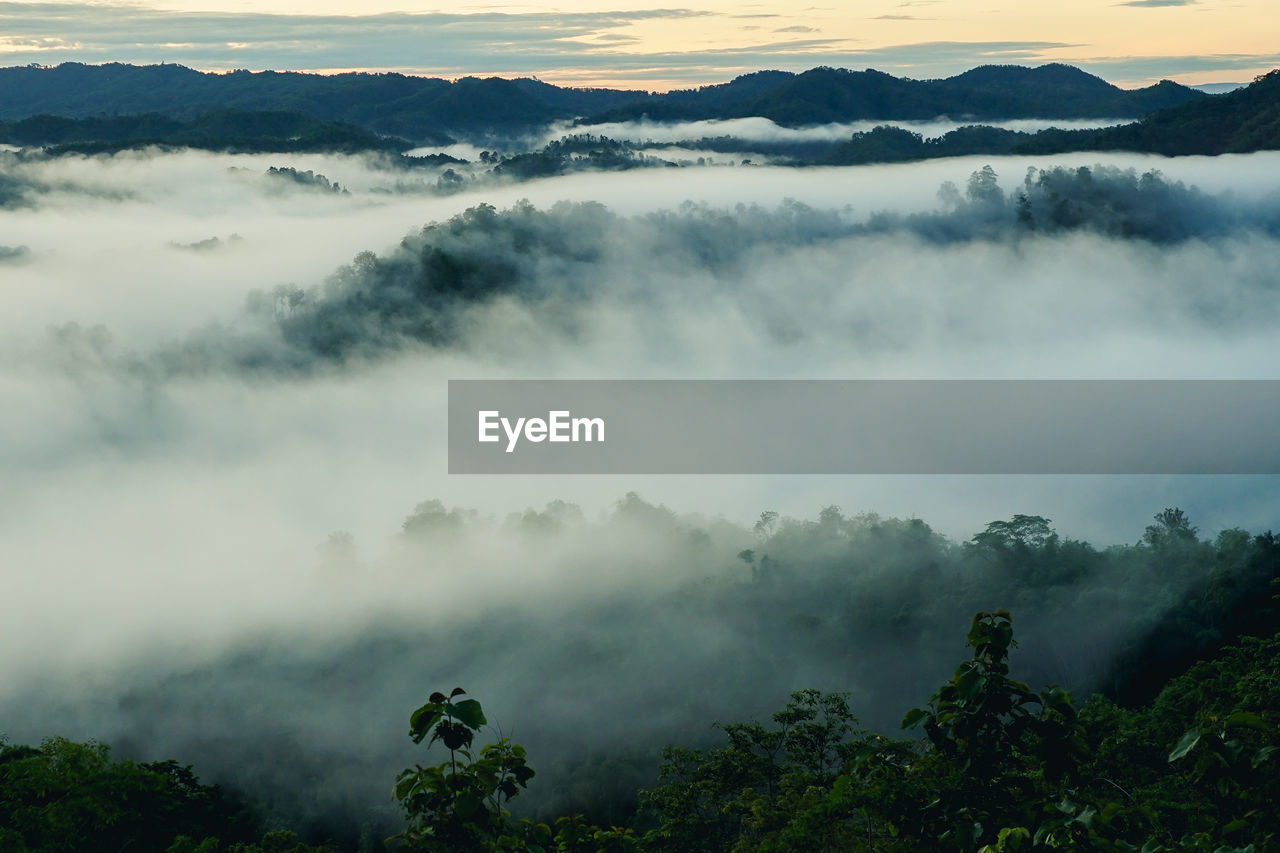 Scenic view of trees and mountains against sky