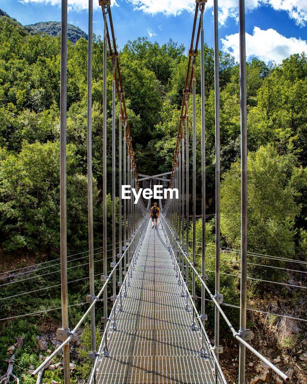 Bridge amidst trees against sky