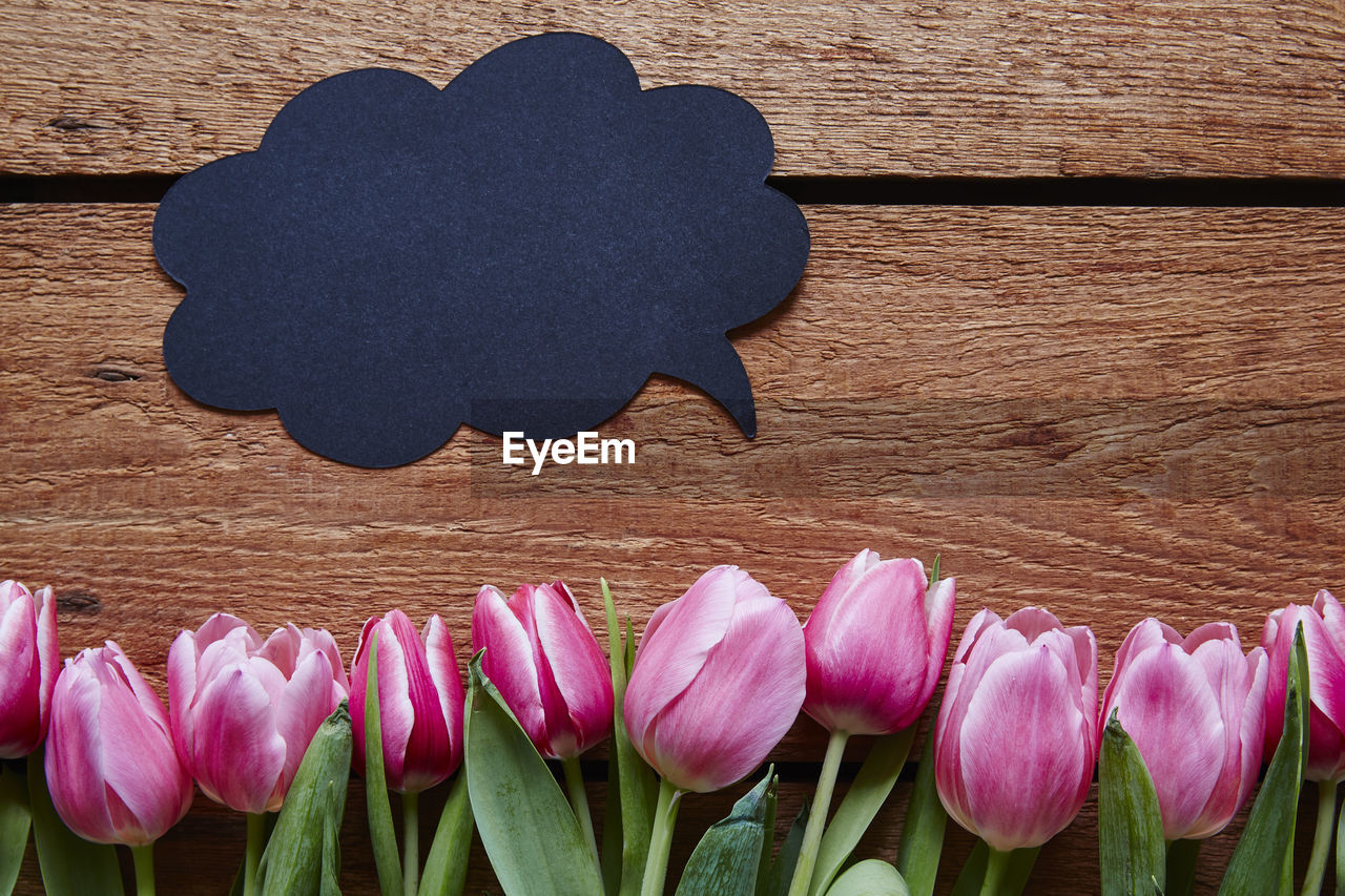 Directly above shot of tulips with speech bubble on table